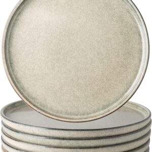 Modern glazed ceramic dinner plate